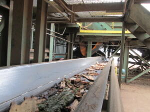 vibratory conveyor for wood products